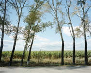 G331-22