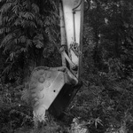 pemako-07