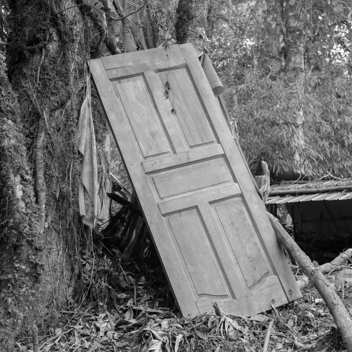 pemako-17