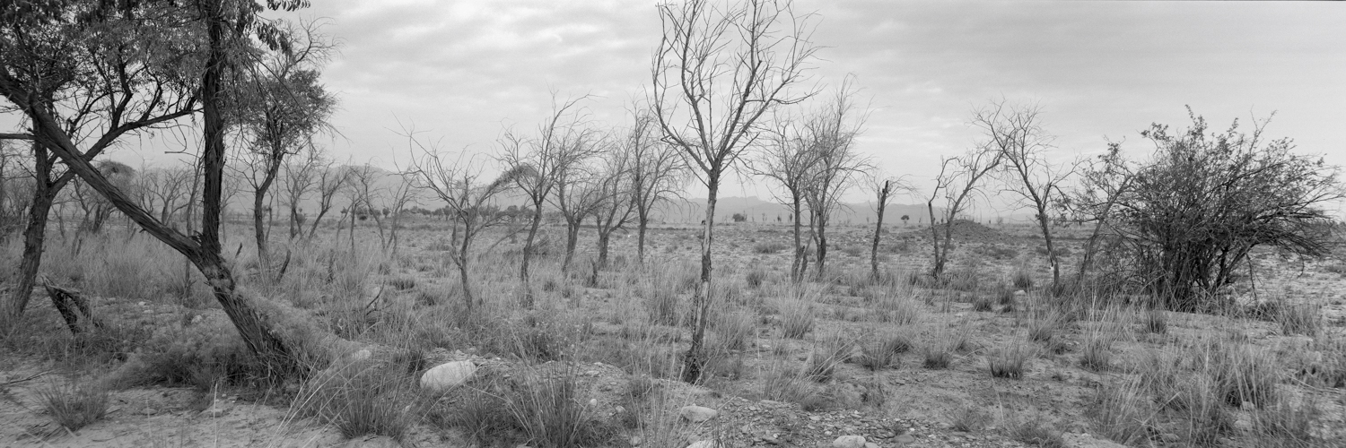 northwest-09